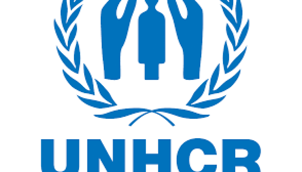 Interpreter Vacancy-Job Ref: ACKWUNHCR/0908/202481